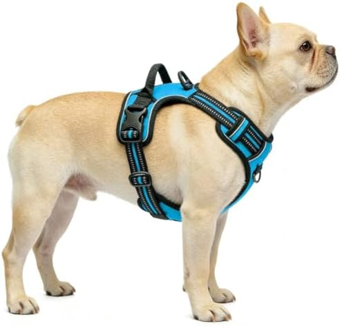 Blue No-Pull Dog Harness with 2 Leash Clips，Soft Padded Vest - Image 4