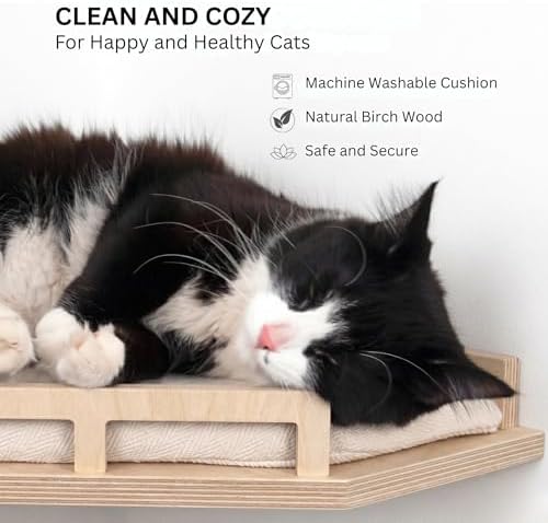 INICIO Cat Wall Shelves and Steps, 4-Piece Wooden Cat Wall Furniture Set - Image 5