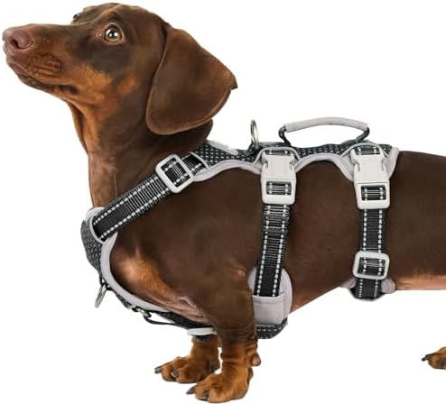 Huntboo Escape Proof Dog Harness, Secure Dog Harness No Escape, Fully by Huntboo