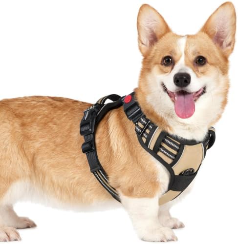 rabbitgoo Dog Harness Small Sized, Updated Easy On & Off by rabbitgoo