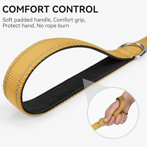 Joytale Reflective Dog Leash for Medium & Large Dogs, 6 FT x 1" - Image 3