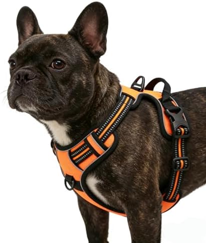 Orange No-Pull Dog Harness by Unknown