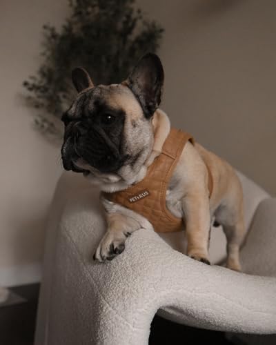 Step in Dog Harness, Lightweight Breathable Mesh Soft Padded Pet Vest, Vegan - Image 2