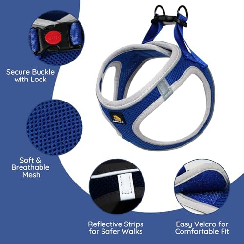 BELLA & PAL Step in Puppy Harness and Leash Set - Image 2