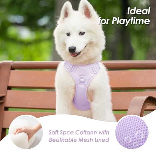 Sunraymascota No Pull Dog Harness - Image 6
