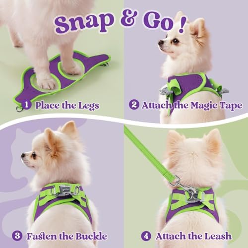 rabbitgoo Dog Harness Small Sized and Leash Set, Step in Soft Vest - Image 2