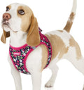 rabbitgoo Step-in Small Dog Harness, Puppy Vest by rabbitgoo