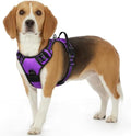 Eagloo Dog Harness for Small Dogs, No Pull Pet Vest by GoExplorewithEagloo