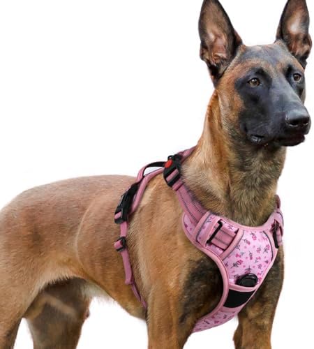 rabbitgoo Dog Harness for Large, Updated Easy On & Off by rabbitgoo