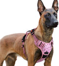 rabbitgoo Dog Harness for Large, Updated Easy On & Off by rabbitgoo
