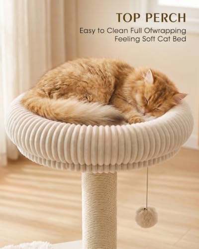 Wood Cat Tree for Indoor Cats, Modern Cat Tower - Image 4