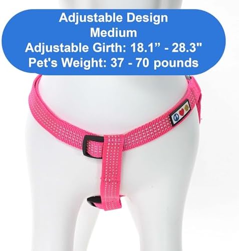 Pawtitas Reflective Step-in Dog Harness – Adjustable No-Pull Vest - Image 3