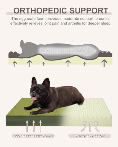 KSIIA Orthopedic Dog Bed for Medium Dogs - Image 2
