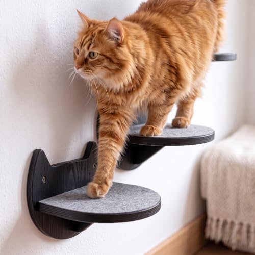 Cat Wall Shelves, Modern Cat Wall Furniture - Image 5