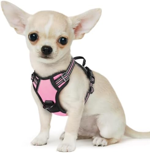 Eagloo Dog Harness for Small Dogs, No Pull Pet Vest by GoExplorewithEagloo
