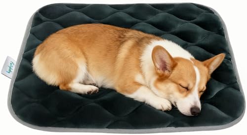 furrybaby Dog Bed Mat Crate Pad, Anti-Slip Bottom Machine Washable Pet Pad by FurrybabyPetSupply