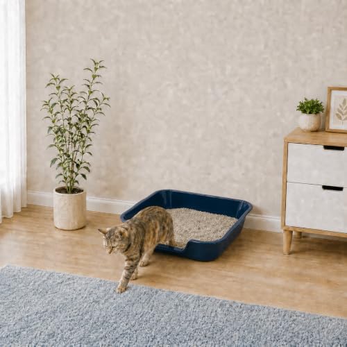 Extra Large Low Entry ABS Cat Litter Box, 1 Pack - Image 4