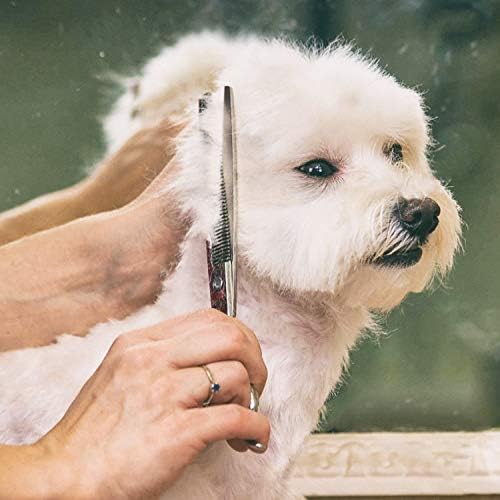 Gimars 7.0in Professional 4CR Stainless Steel Safety Round Tip 6 in 1 Dog - Image 6