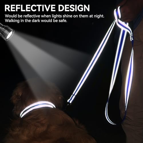 Joytale Reflective Dog Leash for Small Dogs, 4 FT x 3/4" - Image 4