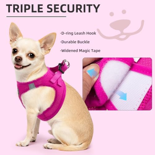 PUPTECK Dog Harness, Collar and Leash Set No Pull - Image 5