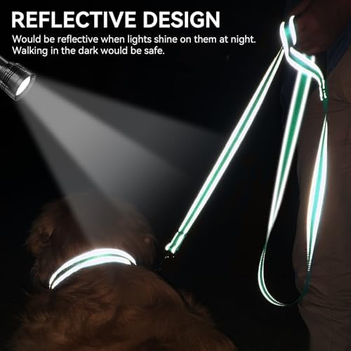 Joytale Reflective Dog Leash for Small Dogs, 6 FT x 3/4" - Image 4