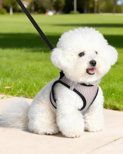 Dog Harness Small Sized and Leash Set, Step in Soft Light Puppy Vest, - Image 6