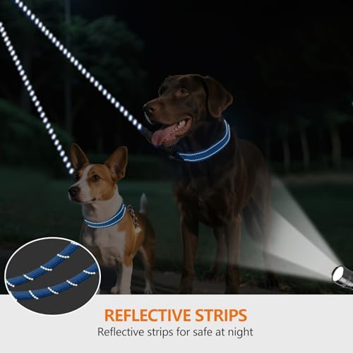 Taglory Double Dog Leash Coupler - Image 4