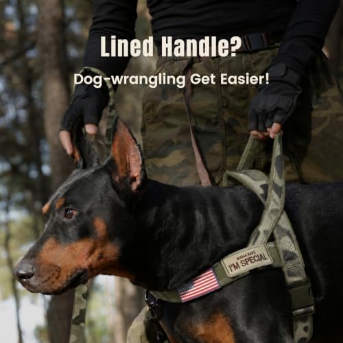 Forestpaw No Pull Dog Harness - Image 2