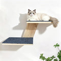 Cat Wall Shelves 2 Platform Kitten Tree Shape Wall-Mounted Floating Shelf by ZeHaiYlf
