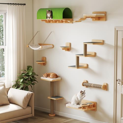 BYBYME 10PCS Cat Wall Shelves, Pine Cat Climbing Wall Furniture by BYBYME