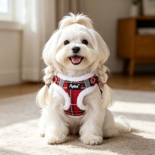 PUPTECK Dog Harness and Leash Set Small Sized, Step in No Pull Adjustable Puppy - Image 6