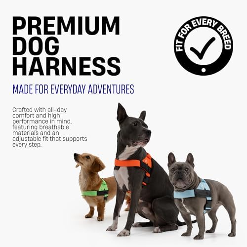 Dog Friendly Co. Dog Harness for Large Sized Dogs - Image 3
