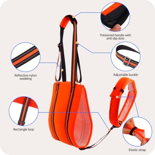PAWsay Adjustable Dog Sling for Large Dogs Hind Leg Support - Image 6