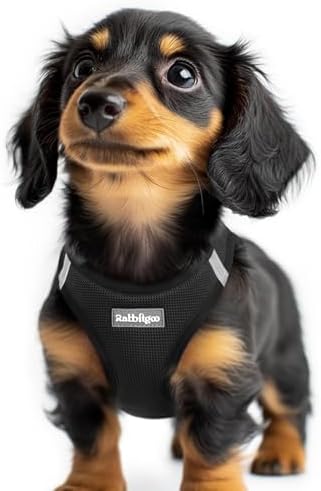 rabbitgoo Step-in Small Dog Harness, Puppy Vest by rabbitgoo
