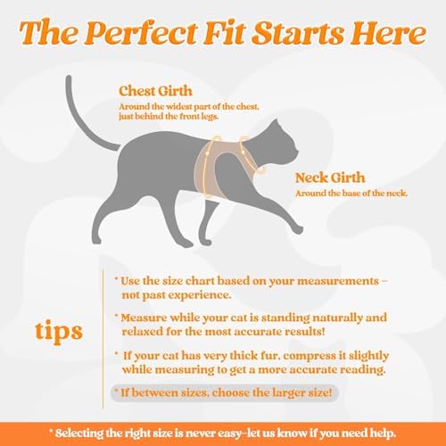 rabbitgoo Cat Harness and Leash Set, Step-in Soft Vest - Image 2