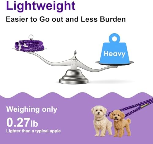 MingXpet 2 Dog Leash, Dog Leash - Image 6