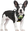 rabbitgoo Dog Harness, No Pull for Small Dogs by rabbitgoo
