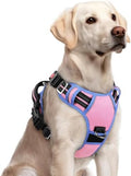 rabbitgoo Dog Harness for Large, No Pull 3 Buckles Easy On & Off by rabbitgoo