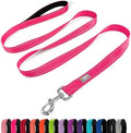 6 FT Basic Dog Leash for Medium Dogs, Hot Pink by Penseepet