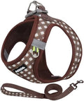 AIITLE Step in Medium Dog Harness and Leash Set, Pet Vest, Chocolate L by AIITLE-FORPETSBETTERLIFE