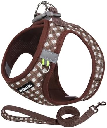 AIITLE Step in Medium Dog Harness and Leash Set, Pet Vest, Chocolate L by AIITLE-FORPETSBETTERLIFE