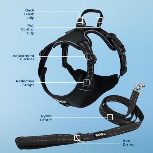 Voyager Dog Harness Dual Leash Attachment No-Pull Control Adjustable Soft but - Image 3