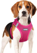 rabbitgoo Step-in Small Dog Harness, Puppy Vest by rabbitgoo