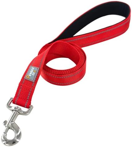 6 FT Basic Dog Leash for Small Dogs - Image 2