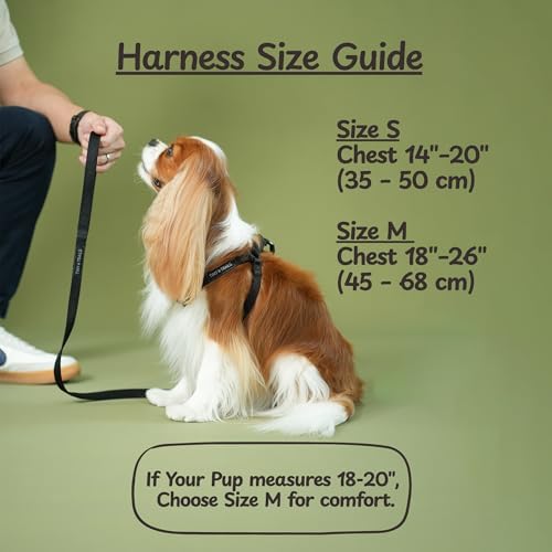 Step-in Dog Harness for Puppies and Small Breeds Adjustable No-Pull Soft Vest - Image 6