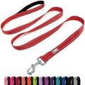 6 FT Basic Dog Leash for Small Dogs by Penseepet