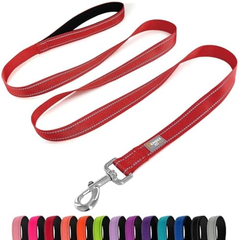 6 FT Basic Dog Leash for Small Dogs by Penseepet