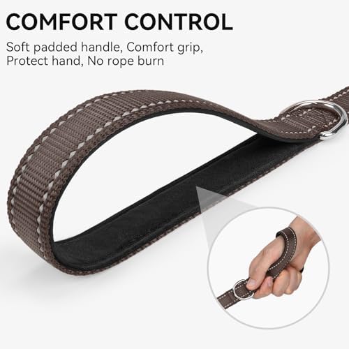 Joytale Reflective Dog Leash for Small Dogs, 4 FT x 3/4" - Image 3