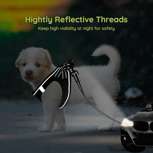 BELLA & PAL Step in Puppy Harness and Leash Set - Image 4