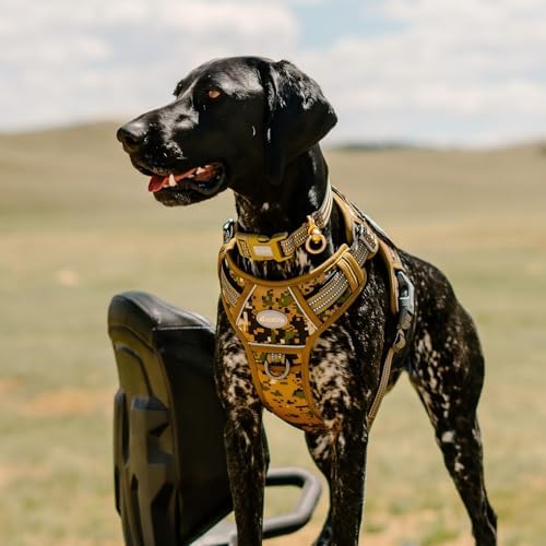 AUROTH Dog Harness for Small Medium Dogs, Tactical No Pull Dog Vest - Image 6